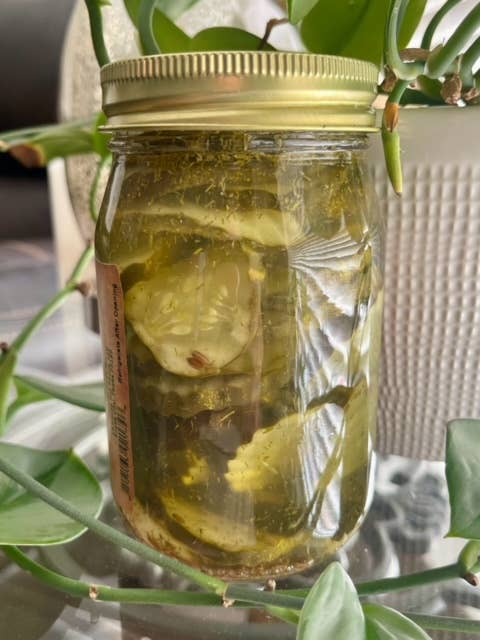 Farm Fresh by La Casita Crinkle Dill Pickle Chips