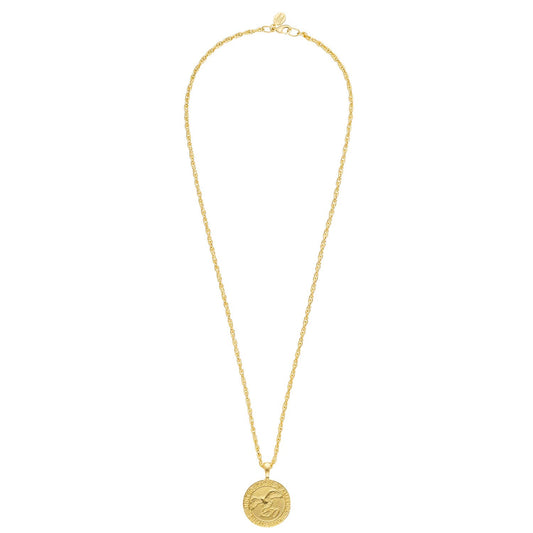 Gold USA Coin on 30" Rope Chain Necklace