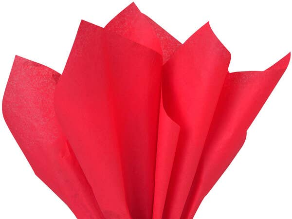 Color Tissue Paper 20X30" 24 Sheet Pack