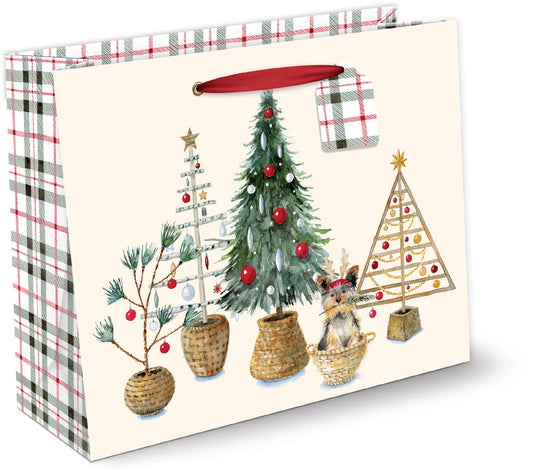 GIFTBAG LGE HORZ PREMIUM POTTED TREE PUP
