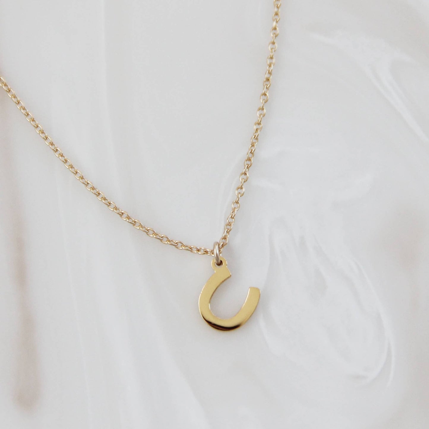 Horseshoe Necklace