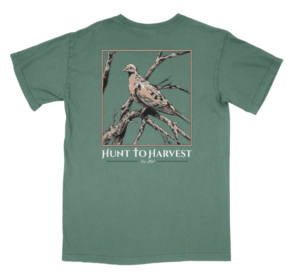 Dove Tee-Clay or Light Green