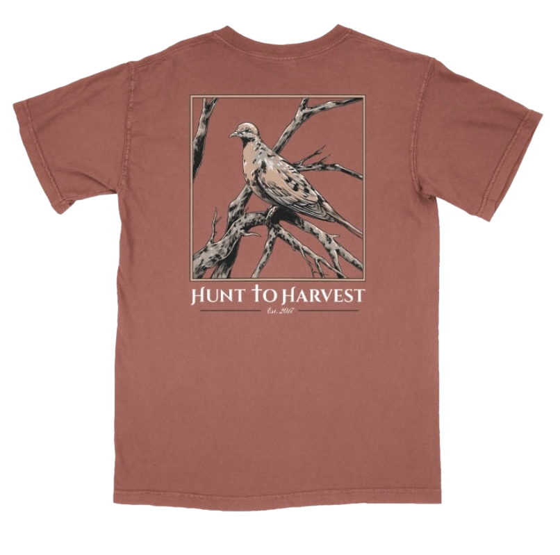 Dove Tee-Clay or Light Green