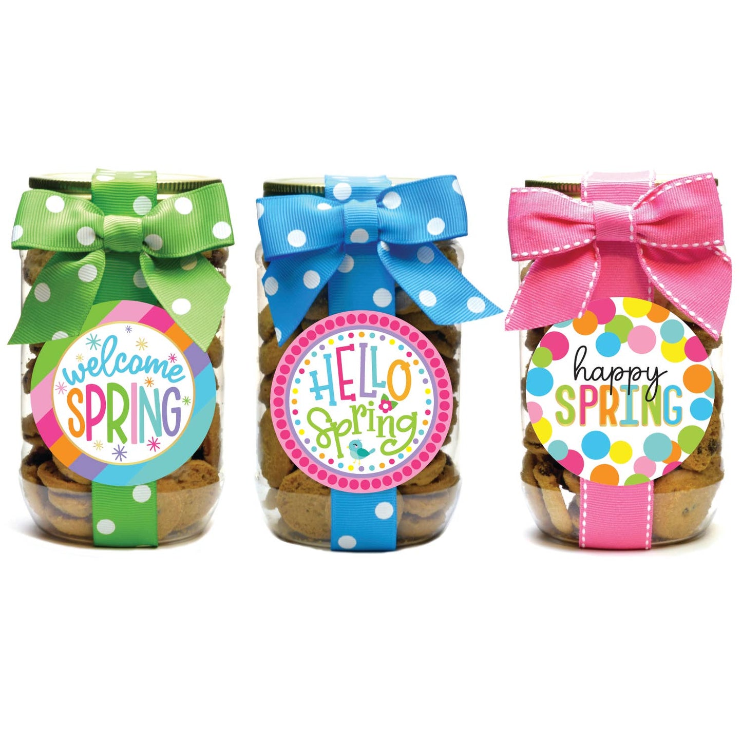 Cookie Jars - Spring Asst #2 - Pint