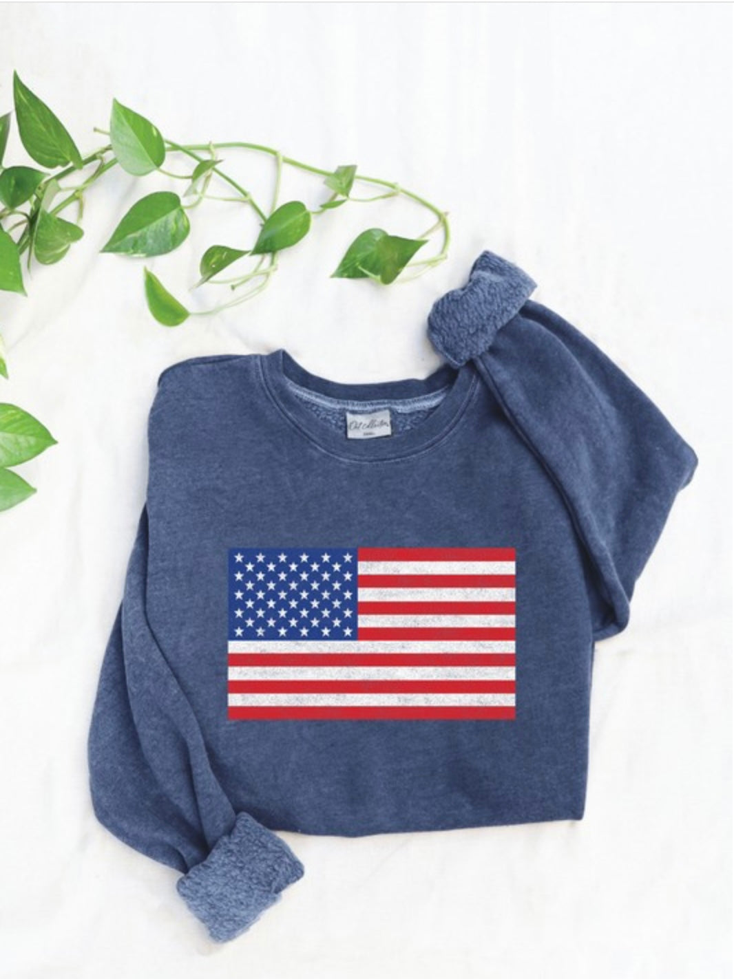 USA flag sweatshirt