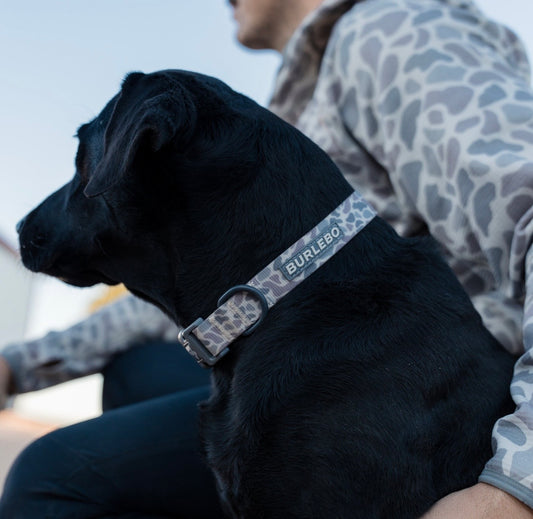 Dog Collar-Classic Deer Camo