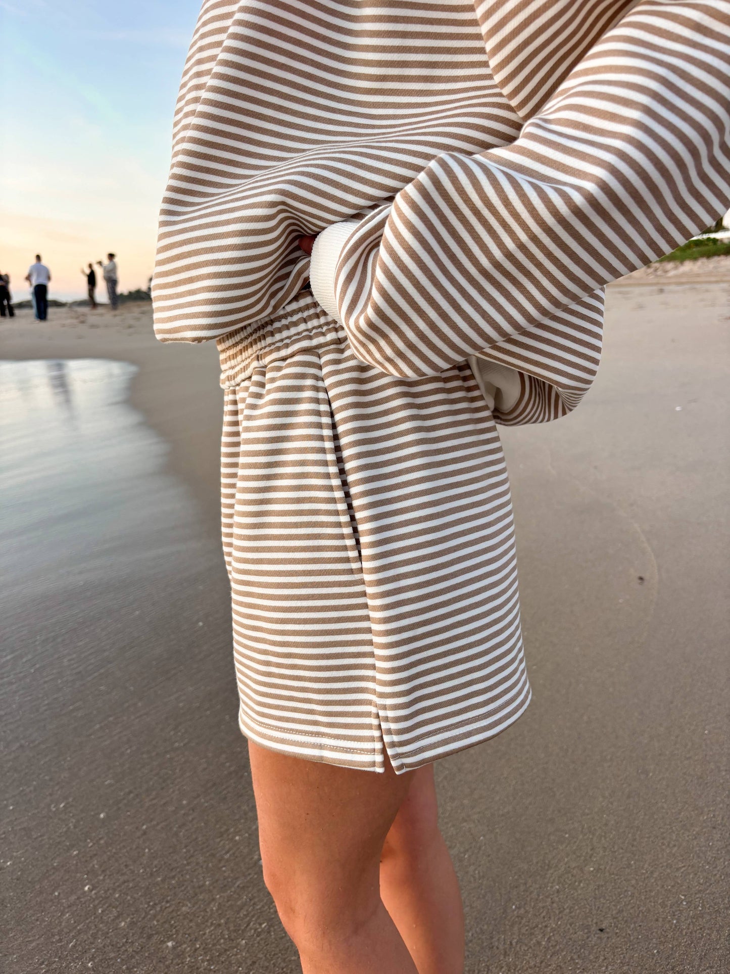 Brown and White Striped Shorts
