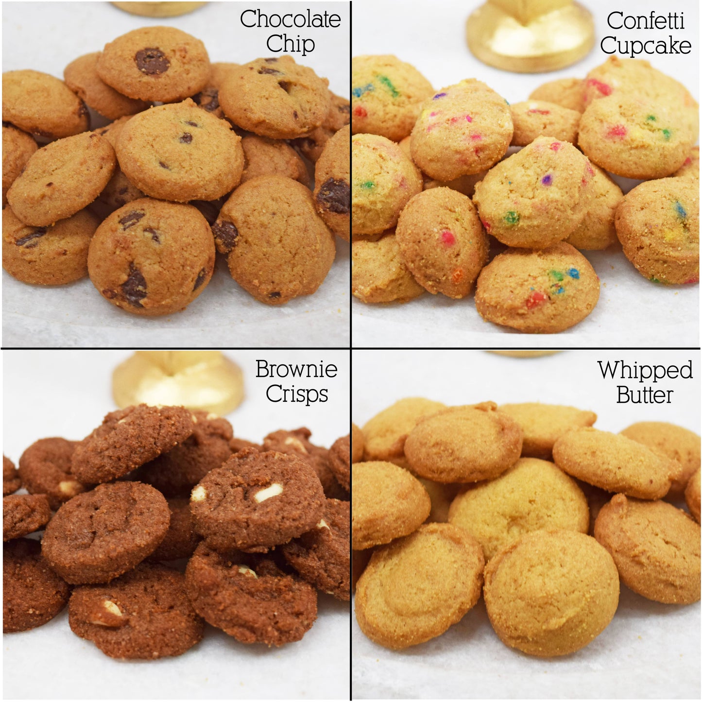 Cookie Jars - Lots of Dots Asst - Pint
